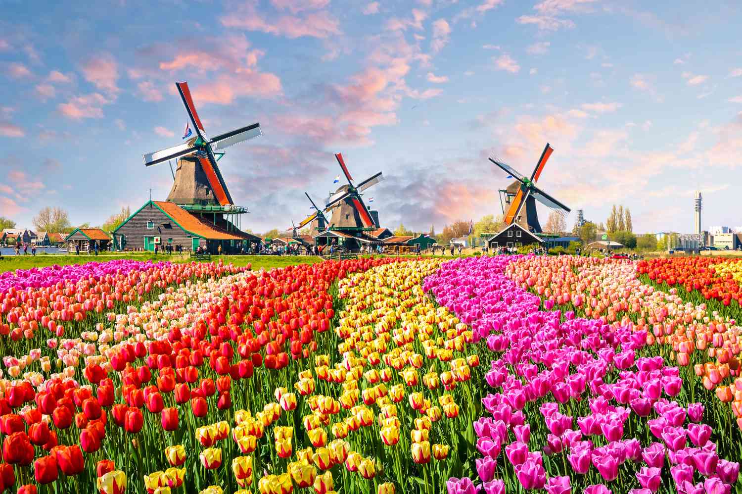 Flights from Netherlands