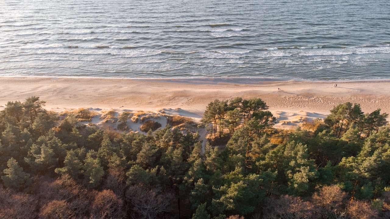 Flights from Palanga