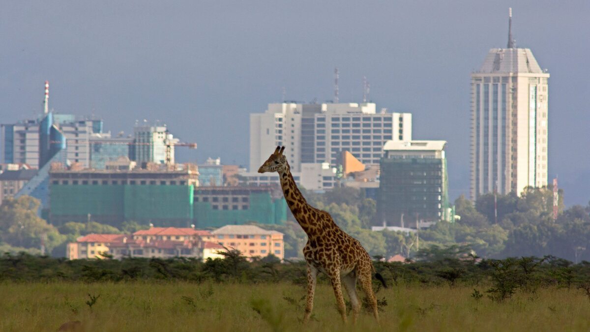 Cheap flight to Nairobi (NBO)